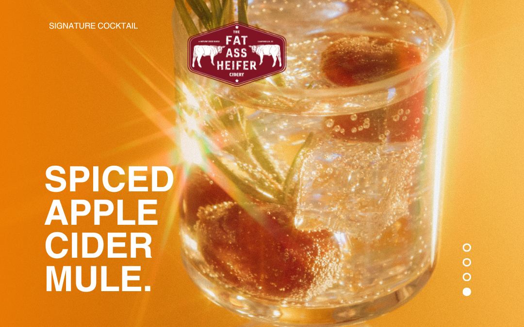Spiced Apple Cider Mule Recipe